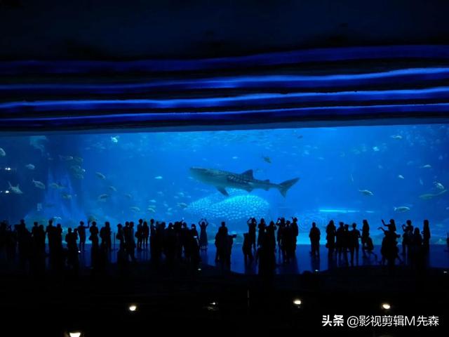 电影杜拉拉升职记（电影杜拉拉升职记2）