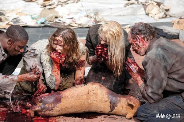 行尸走肉第四季爱美剧（行尸走肉第四季爱视网）