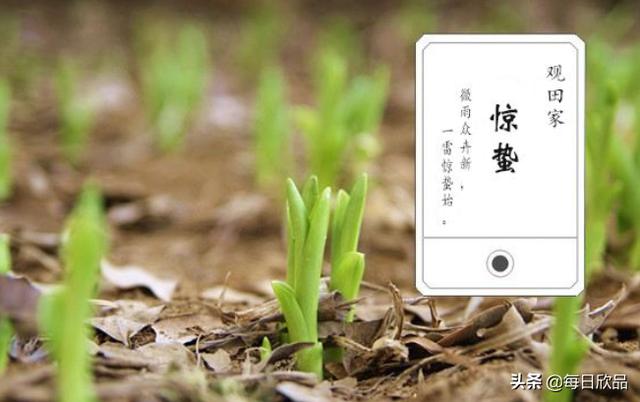 惊蛰的著名诗句（惊蛰的古诗词有哪些,短一些）