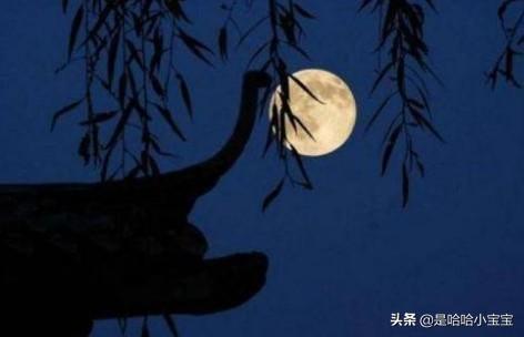 十五夜望月原文翻译（十五夜望月全译）