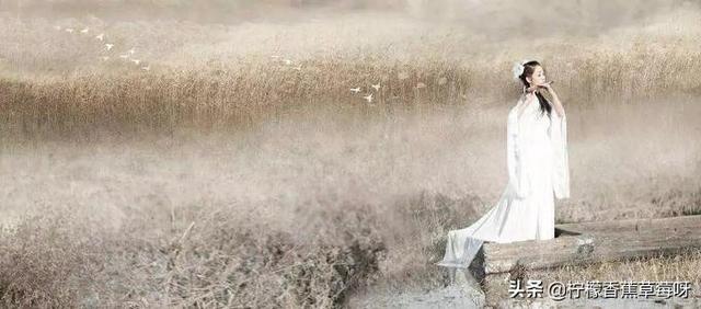 古诗挑出来的情侣名（古诗词的情侣名）