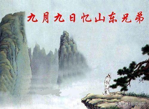 九月九日忆山东兄弟的诗意简短