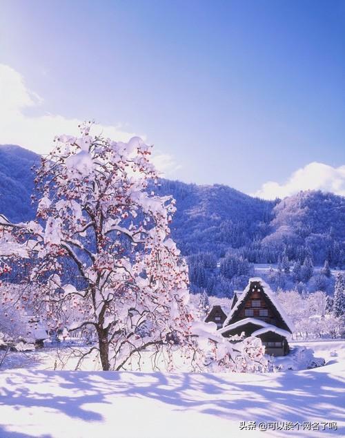 历史故事的成语有哪些(出自历史故事的成语有哪些)