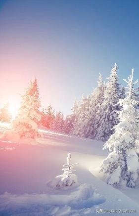 历史故事的成语有哪些(出自历史故事的成语有哪些)