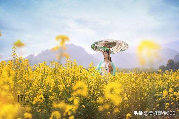 陌上花开缓缓归小说（陌上花开缓缓归全诗）