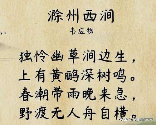 滁州西涧注释和译文加拼音（《滁州西涧》的注释）
