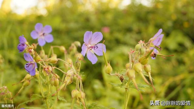 励志的话正能量句子（儿子励志的话正能量句子）