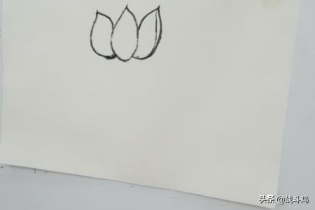 国画荷花水墨画（国画荷花水墨画 写意）