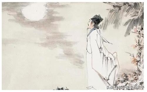 十五夜望月诗词解析（十五夜望月诗词解析视频）