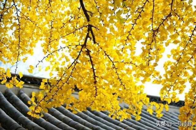 一键自动生成古诗词在线（古诗词生成软件）