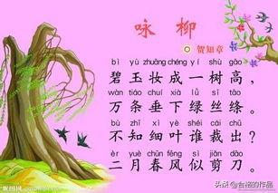 古诗咏柳的意思（古诗咏柳这首诗是什么意思）