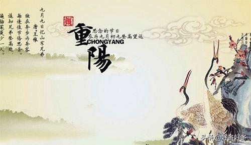 9九月九日忆山东兄弟（9九月九日忆山东兄弟古诗）